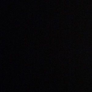 Meet your Posher, Abigail